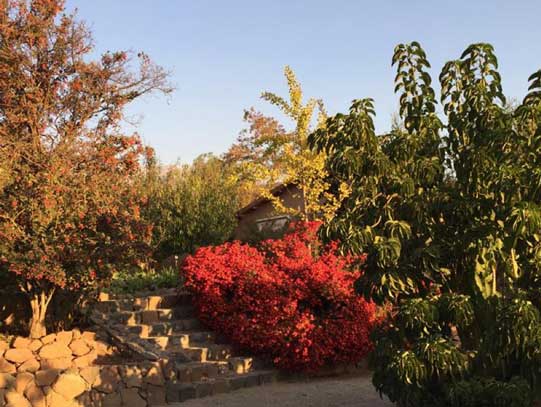 MAYO EN EL JARDÍN