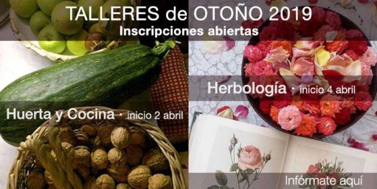 EDITORIAL MARZO 2019