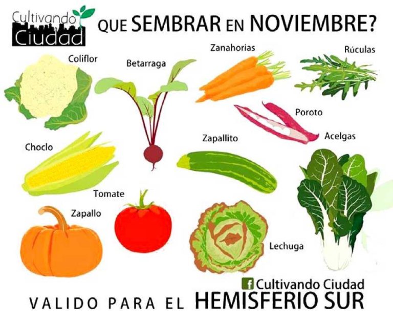 EDITORIAL NOVIEMBRE 2019