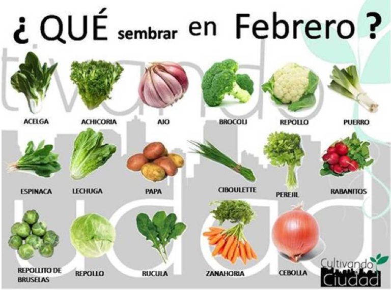 EDITORIAL FEBRERO 2021