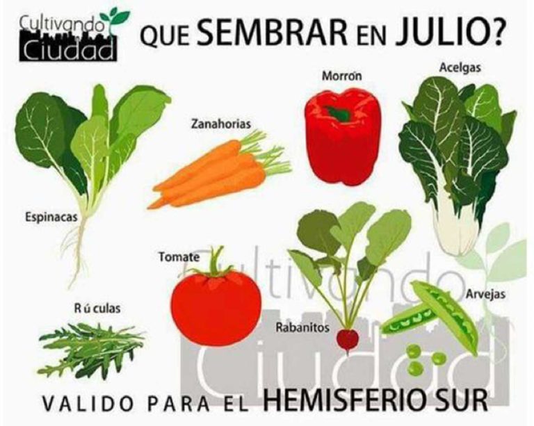 EDITORIAL JULIO 2021