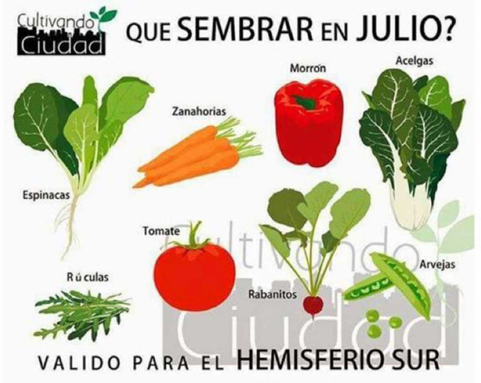 EDITORIAL JULIO 2021