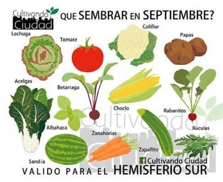 EDITORIAL SEPTIEMBRE 2021