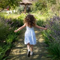 Entrada niño - 2 a 17 años de edad - Sábado