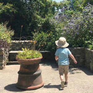 Entrada niño- 2 a 17 años de edad - Domingo