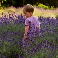 Entrada niño- 2 a 17 años de edad - Domingo