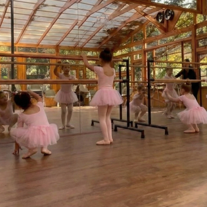 Curso Ballet "Pétalos"