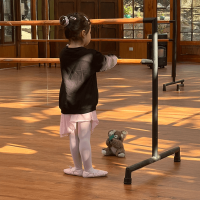 Curso Ballet "Pétalos"