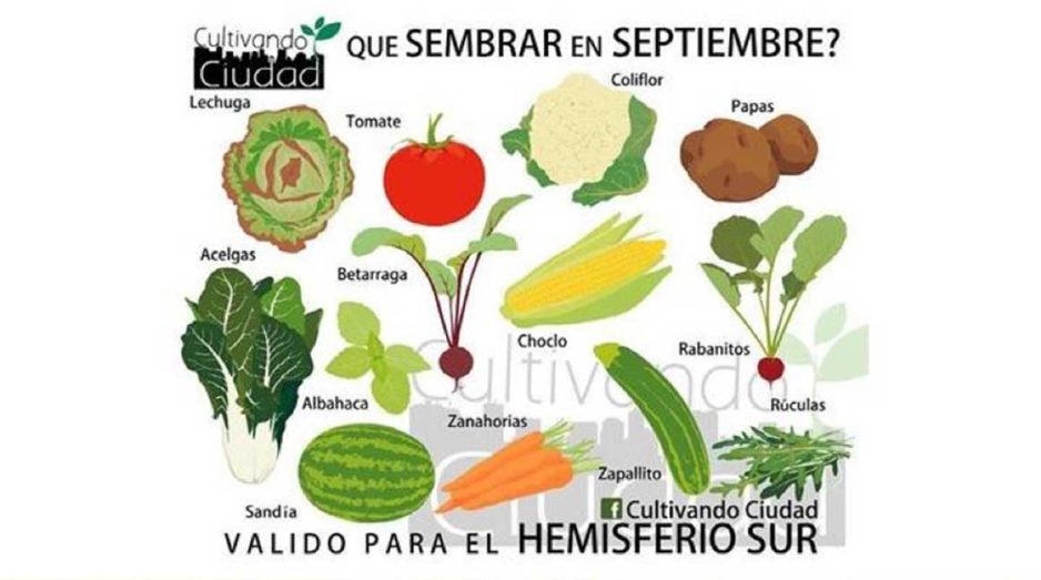 ¡BIENVENIDO SEPTIEMBRE!