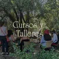 Cursos y Talleres