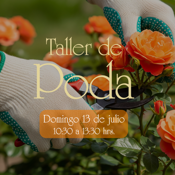 Taller de Poda 2025
