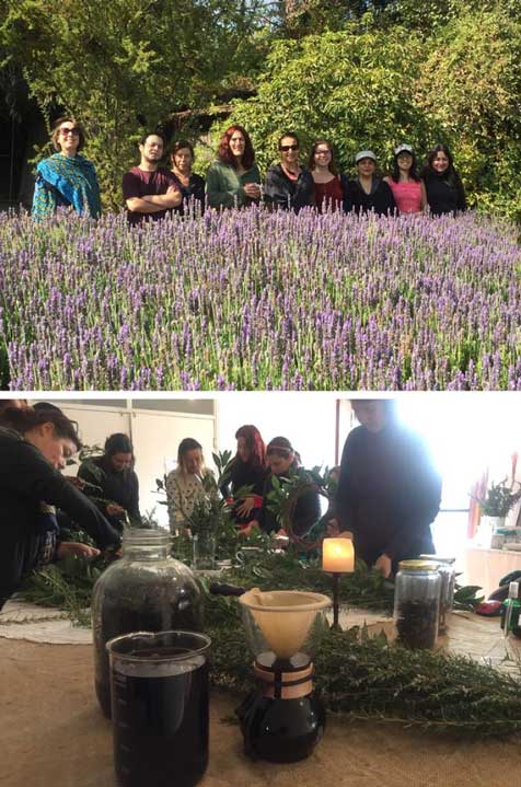 CURSOS Y TALLERES PRIMAVERA 2017