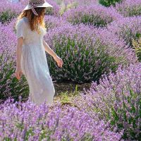 Entrada adulto - feriado