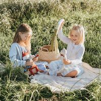 Entrada niño + Derecho picnic - feriado