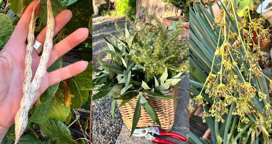 EDITORIAL FEBRERO 2026